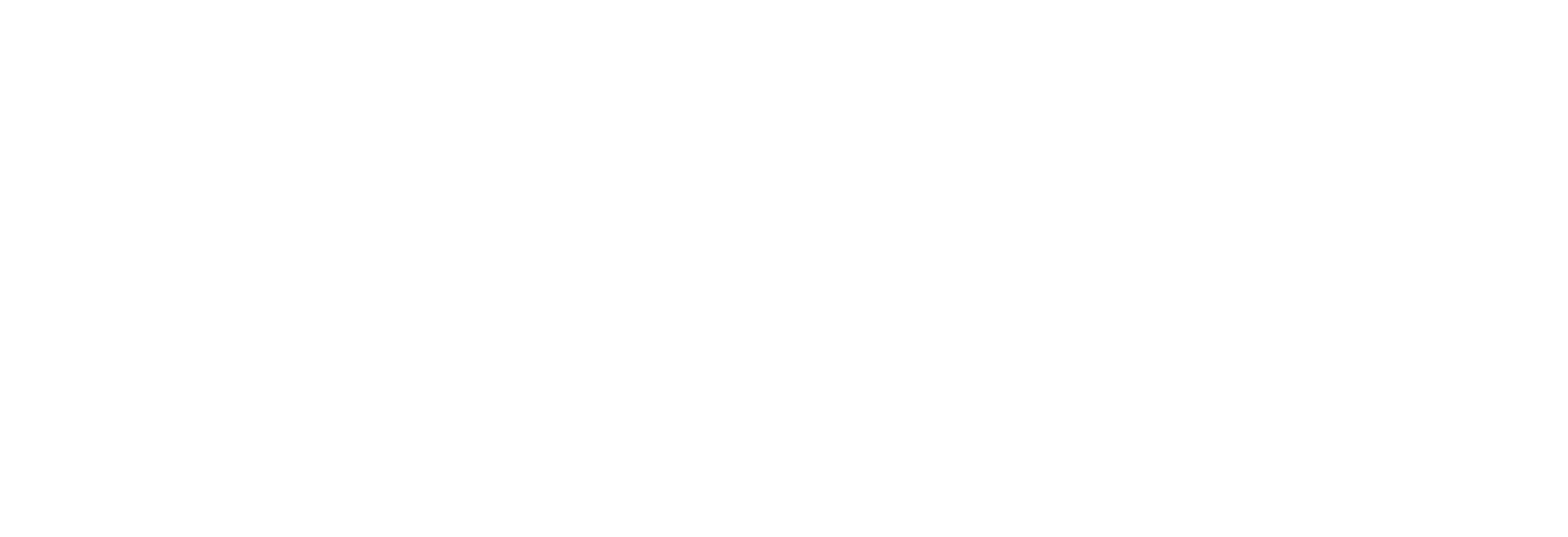 Faisal Sayani logo W